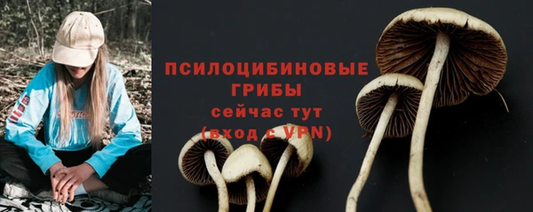 кокс Дмитровск