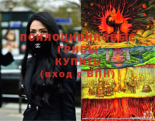 каннабис Дмитров