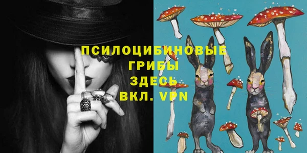 кокс Дмитровск